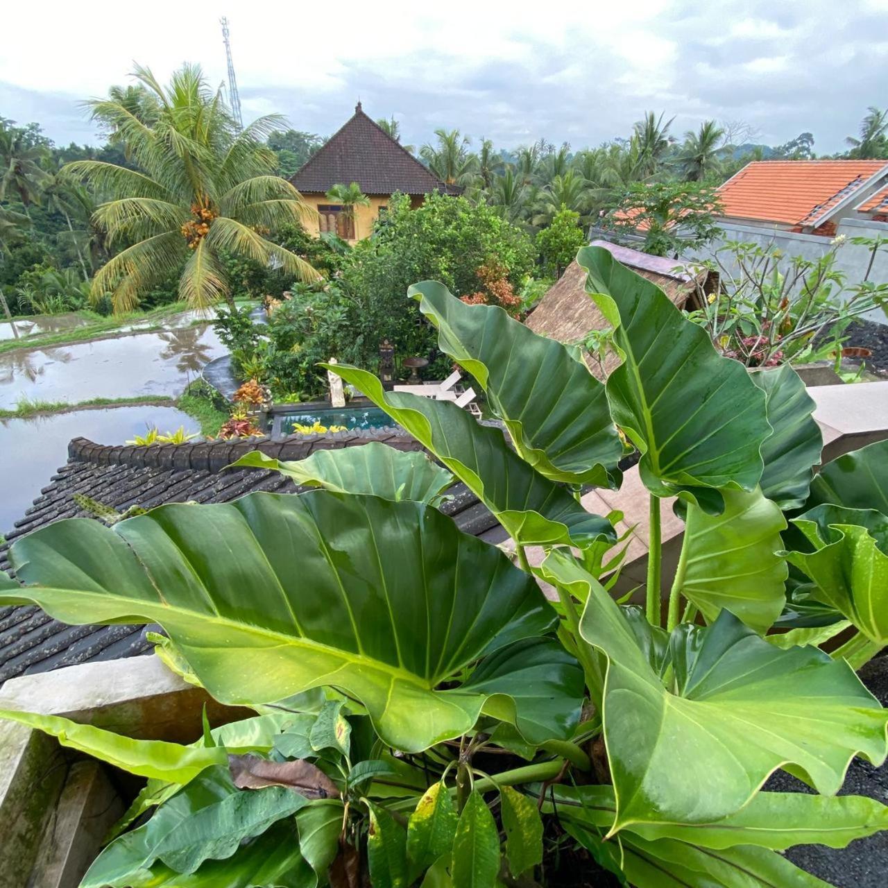 Dukuh Village Villas & Art Tegallalang  Cameră foto